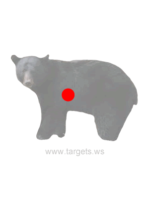 Black Bear Shooting Target