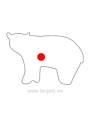 Black Bear Shooting Target Outline