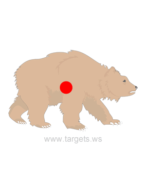 Brown Bear Shooting Target