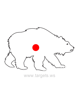 Brown Bear Shooting Target Outline