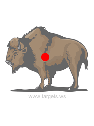 Buffalo Shooting Target