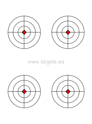 Bullseye Target 16