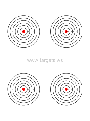Bullseye Target 7