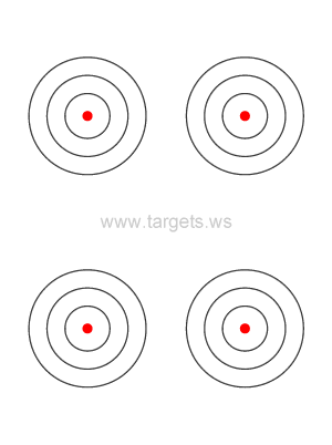Bullseye Target 9