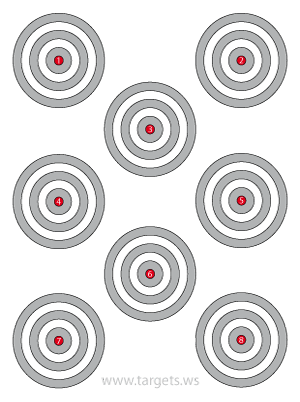 Eight Bullseye Targets with Gray Rings and Small Red Centers
