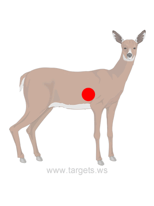 Doe Shooting Target