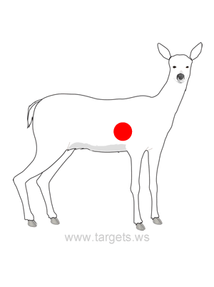 Doe Shooting Target Outline