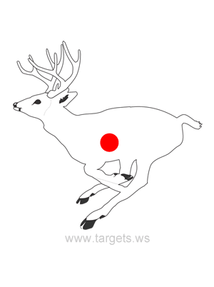 printable targets print your own animal shooting targets
