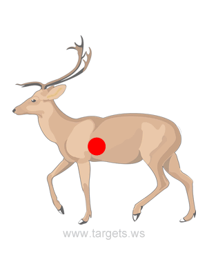 Deer Shooting Target