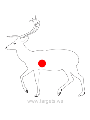 Printable Plans - Print your private animal capturing plans photograph regarding Printable Deer Targets titled Printable Ambitions - Print your personalized animal taking pictures goals