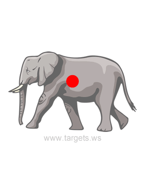 Elephant Shooting Target