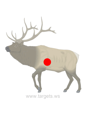 printable targets print your own shooting targets