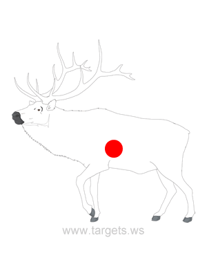 Elk Shooting Target Outline