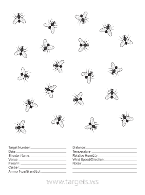 Fly Target - Randomly Faced Flies with White Eyes