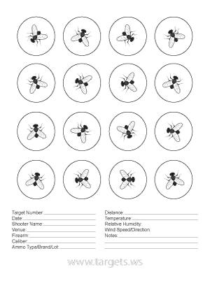 printable targets print your own fun game shooting targets