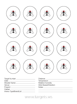 printable targets print your own fun game shooting targets