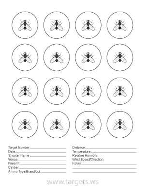 Fly Target - Flies Faced Up In Circles with White Eyes
