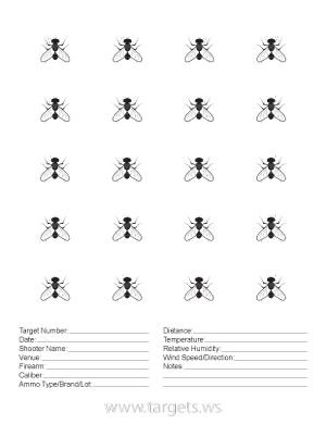 Fly Target - Flies Faced Up with Black Eyes