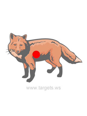 Fox Shooting Target