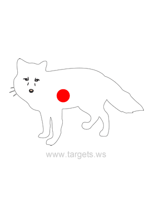 Fox Shooting Target Outline