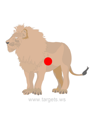 Lion Shooting Target
