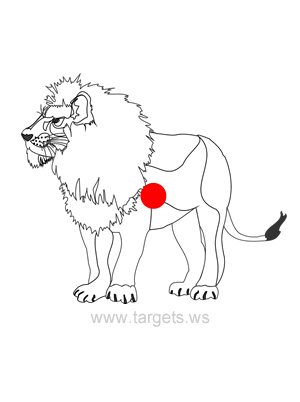 Printable Targets - Print your own animal shooting targets