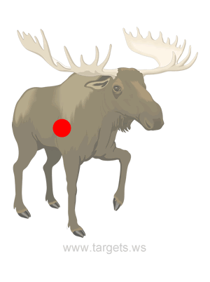 Moose Shooting Target
