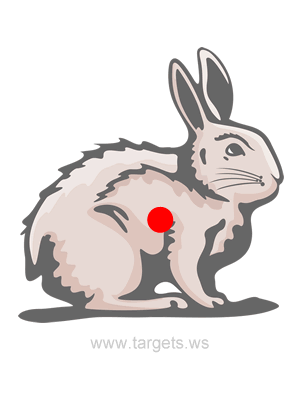 Rabbit Shooting Target