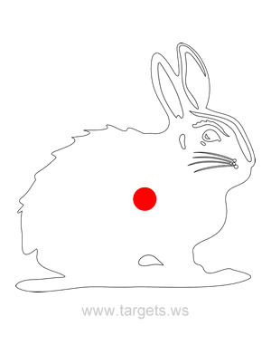 Rabbit Shooting Target Outline