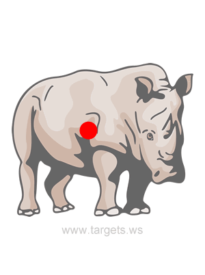 Rhino Shooting Target