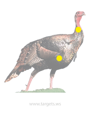 Turkey Shooting Target 2