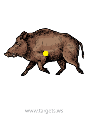 Printable Targets - Print your own animal shooting targets Printable Targets - Print your own animal shooting targets