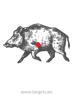 Targets Pig graphic corflute 