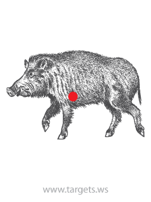 Printable Targets - Print your own animal shooting targets