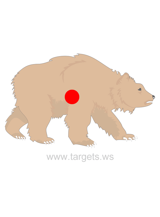 60-fun-printable-targets-kittybabylovecom-animal-targets-janiah-johns
