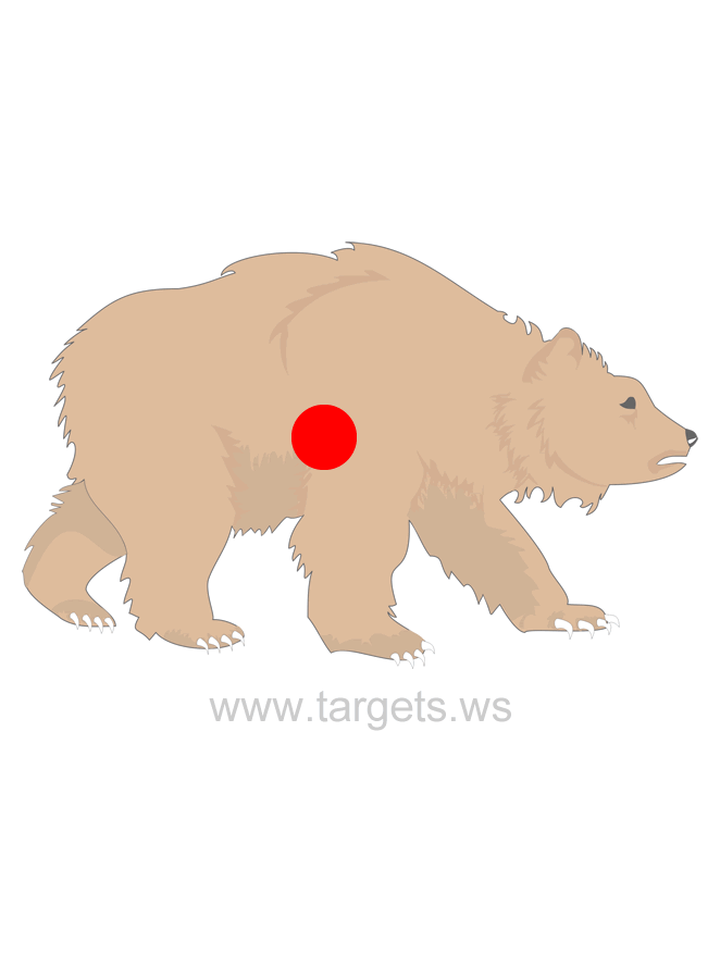 printable-targets-print-your-own-animal-shooting-targets