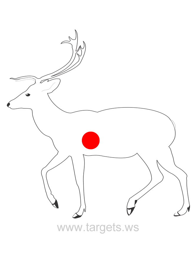2d Pro Whitetail Broadside Archery Target Solo Targets Printable