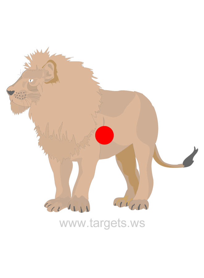 printable-targets-print-your-own-animal-shooting-targets